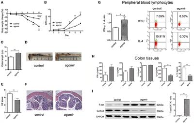 MicroRNA124-IL6R Mediates the Effect of Nicotine in Inflammatory Bowel Disease by Shifting Th1/Th2 Balance Toward Th1